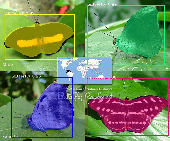 Butterfly Click Test blog - butterfly-click-test - ModDB